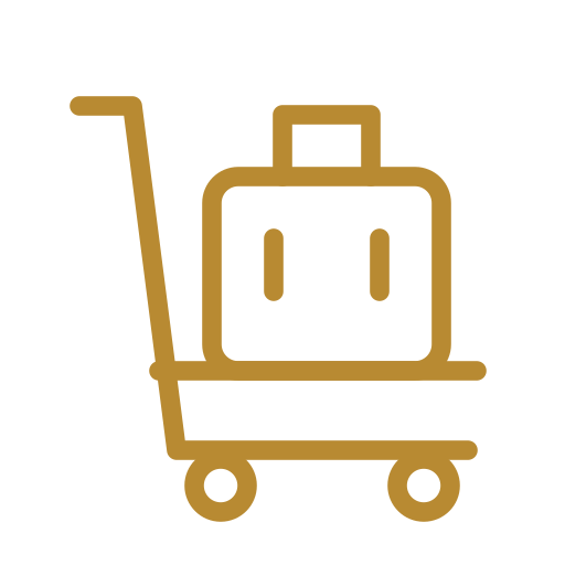 luggage assistance